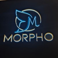MORPHO ESSENCE SL