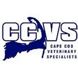 Cape Cod Veterinary Specialists