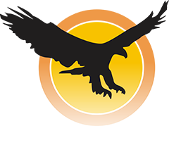 Eagle Driving School