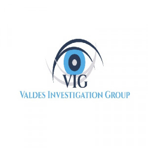 Valdes Investigation Group