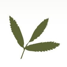 ROWAN Consultancy (Scotland) Ltd