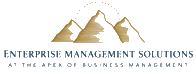 Enterprise Mangement Solutions Inc