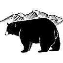 Black Bear