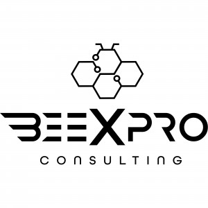 BEEXPRO CONSULTING LTD