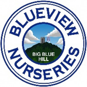 Blueview Nurseries