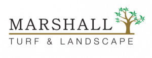 Marshall Turf and Landscape