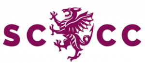 Somerset County Cricket Club image