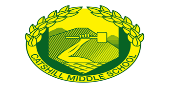 Witton Middle School (SIPS)