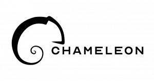 Chameleon Coatings image