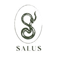 Salus International Consulting