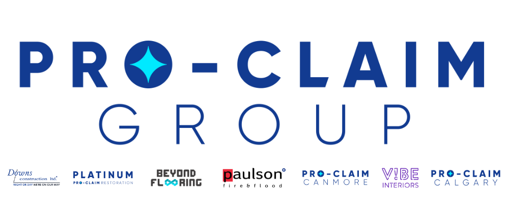 Pro-Claim Group
