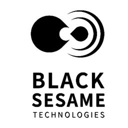Black Sesame Technologies Inc
