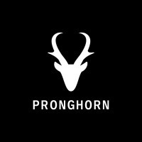 Pronghorn