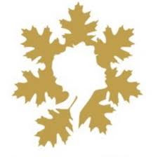 SEVEN OAKS WOMEN'S CENTER/Acorn Wellness