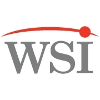 Workforce Strategies Inc