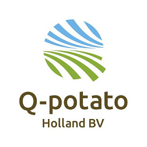 Q-potato