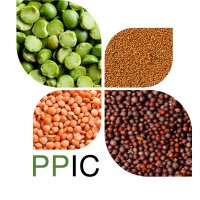 Plant Protein Innovation Center