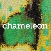 Chameleon Customer Contact