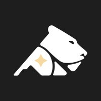 LionRun Consulting