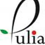Pulia Ltd