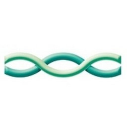 IntraHealth