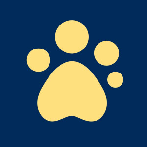Guide Dogs for the Blind Association
