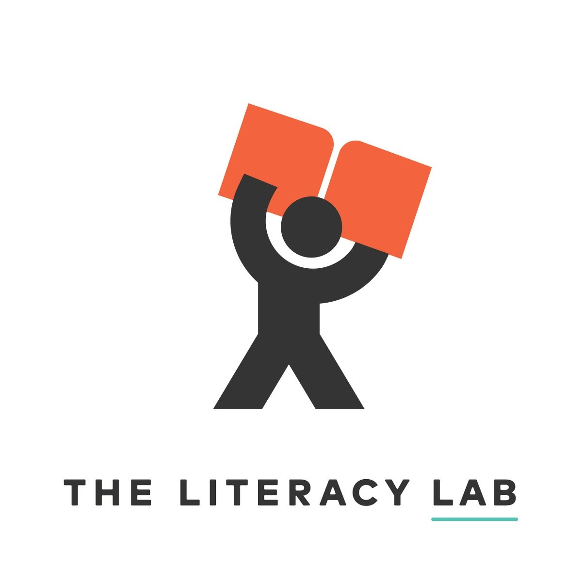 The Literacy Lab