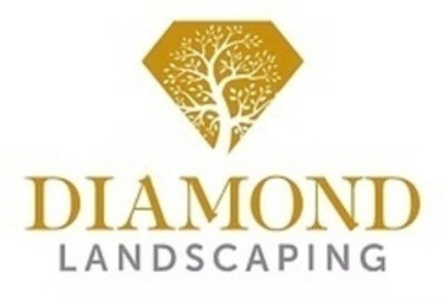 Diamond Landscape