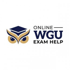 Online WGU Exam Help