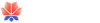 Mayflower