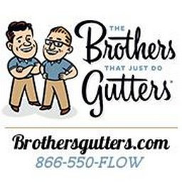 The Brothers That Just Do Gutters