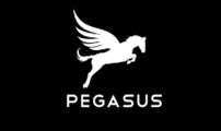 Pegasus Imagery