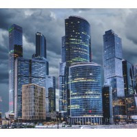 Consulting By Elevate