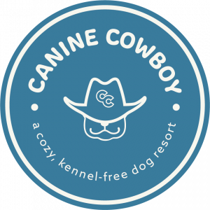 Canine Cowboy