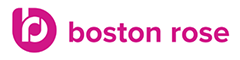 Boston Rose