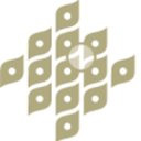 Dermatology Associates, LC