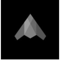 Stealth Vertical AI Startup