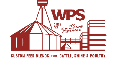 Wallace Performance Solutions