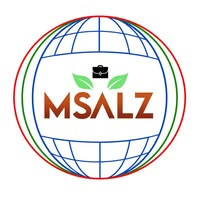 msalzsalt