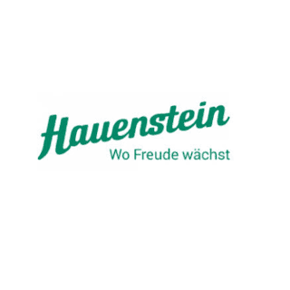 Hauenstein AG