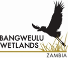 Bangweulu Wetlands