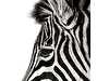 Investec