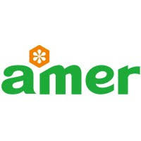 AMER LUBRICANTS MEXICO