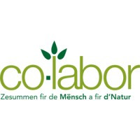 co-labor s.c.