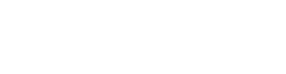 Visvero, Inc.