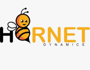 Hornet Dynamics