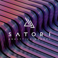 Satori Analytics