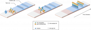 Colloidal Gold Lateral Flow Assays