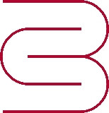 Blackrock Strategy LLC