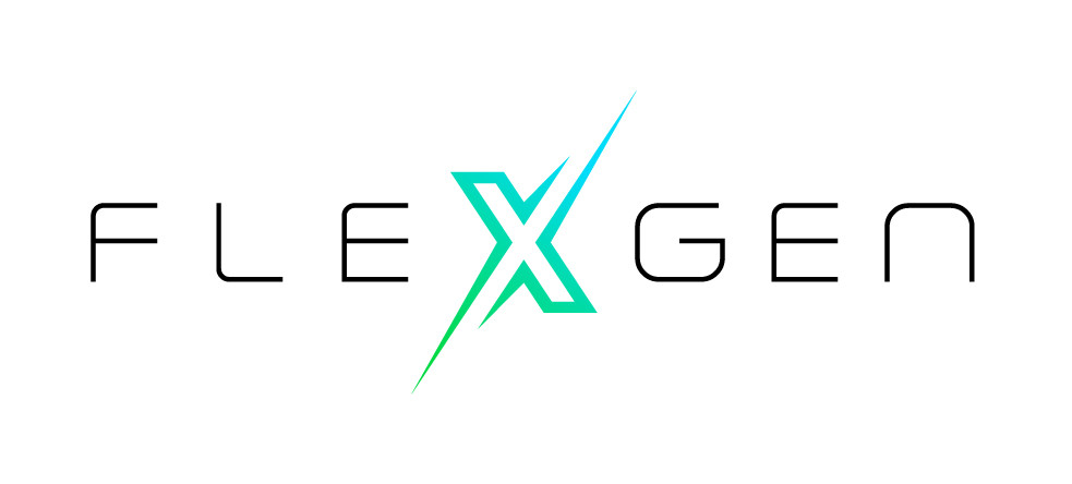 FlexGen